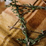 pexels-cottonbro-4033347